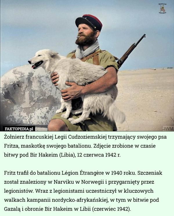 
    Żołnierz francuskiej Legii Cudzoziemskiej trzymający swojego psa Fritza...