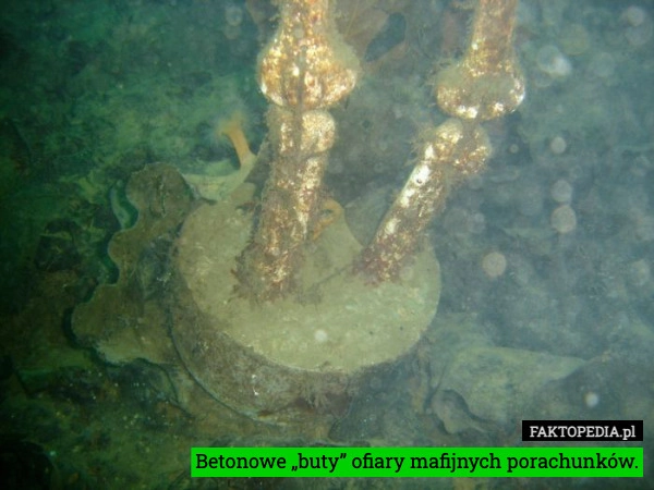 
    Betonowe „buty” ofiary mafijnych porachunków.