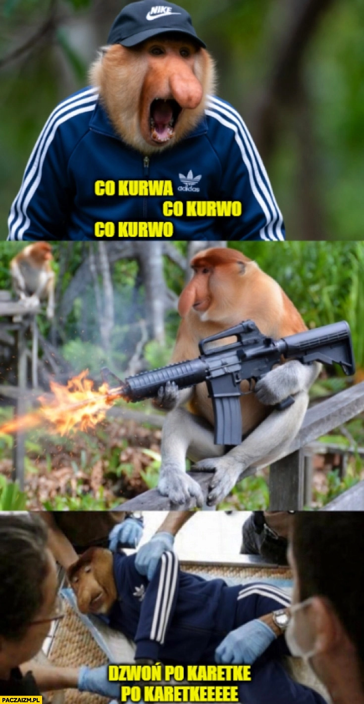 
    Strzelanina w Bystrzycy Kłodzkiej dzwon po karetkę Polak nosacz małpa