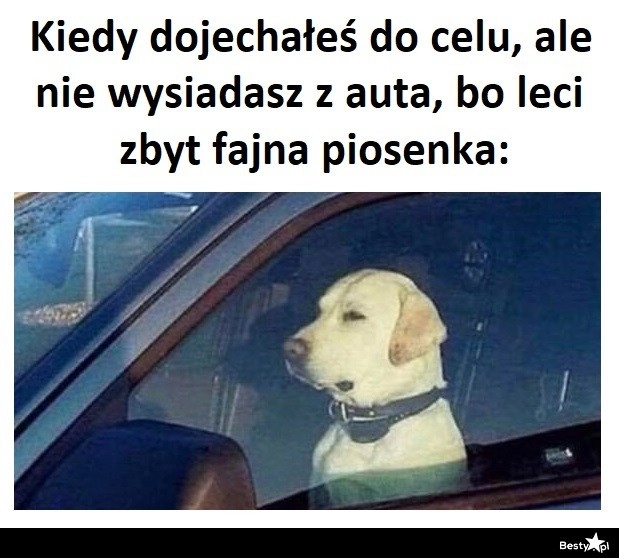 
    Trzeba dosłuchać 