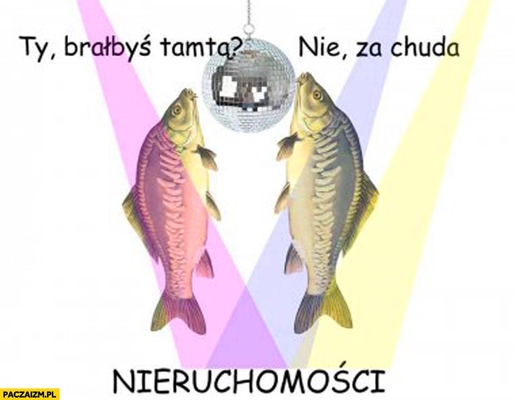 
    Brałbyś tamtą? Nie, za chuda nieruchomości ryby