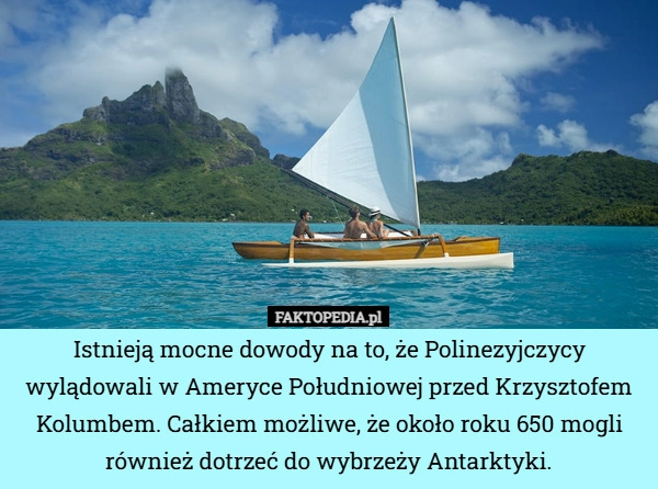 
    Istnieją mocne dowody na to, że Polinezyjczycy wylądowali w Ameryce Południowej