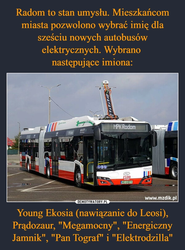 
    Radom to stan umysłu. Mieszkańcom miasta pozwolono wybrać imię dla sześciu nowych autobusów elektrycznych. Wybrano 
następujące imiona: Young Ekosia (nawiązanie do Leosi), Prądozaur, "Megamocny", "Energiczny Jamnik", "Pan Tograf" i "Elektrodzilla"