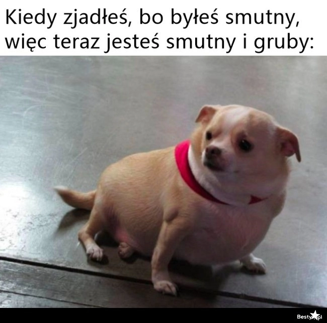 
    Zajadanie smutków 