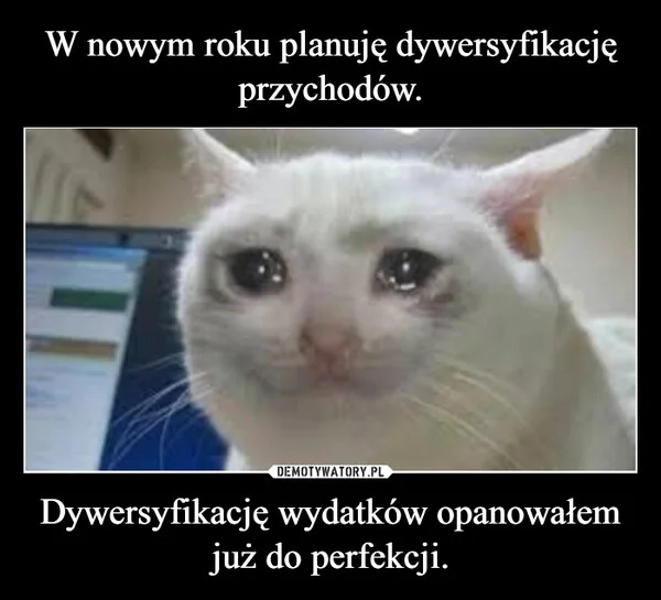 
    W nowym roku planuję dywersyfikację przychodów. Dywersyfikację wydatków opanowałem już do perfekcji.