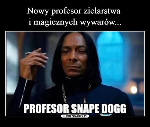 
    Nowy profesor zielarstwa i magicznych wywarów...