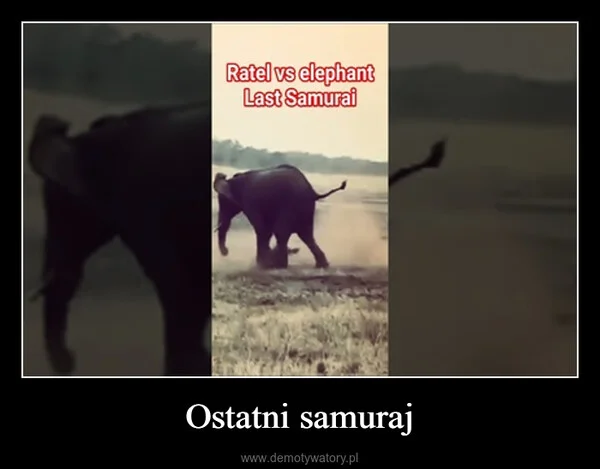 
    Ostatni samuraj