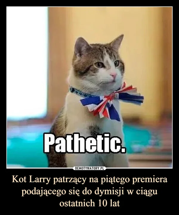 
    Kot Larry patrzący na piątego premiera podającego się do dymisji w ciągu ostatnich 10 lat