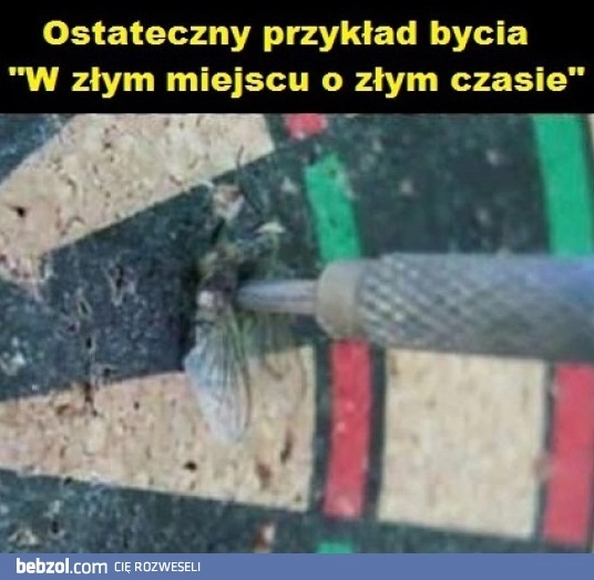 To się nazywa pech