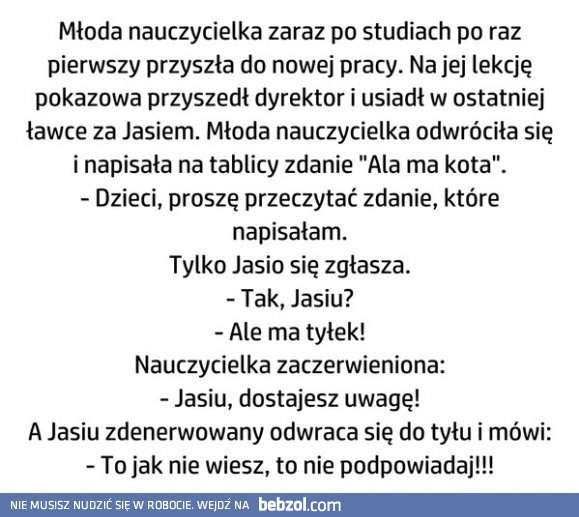 
    Młoda nauczycielka 