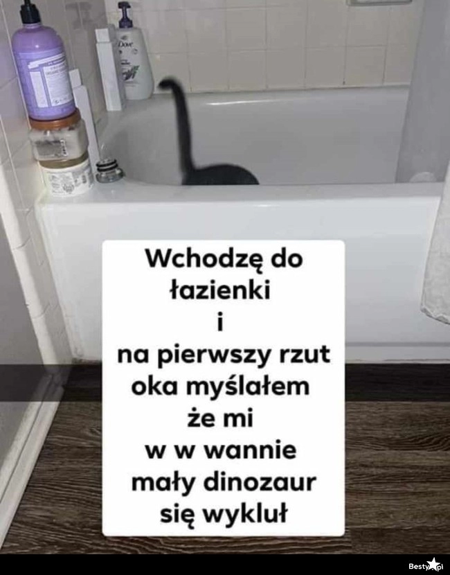 
    Mały dinozaur 