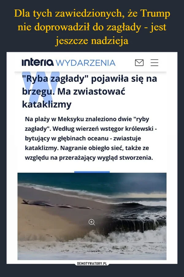 
    Dla tych zawiedzionych, że Trump nie doprowadził do zagłady - jest jeszcze nadzieja