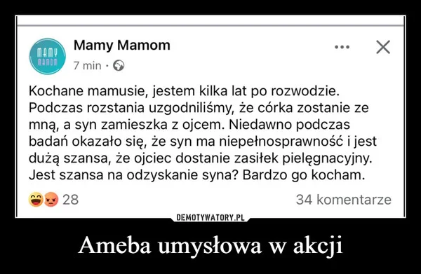 
    Ameba umysłowa w akcji