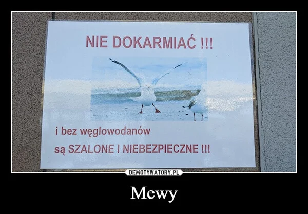 
    Mewy