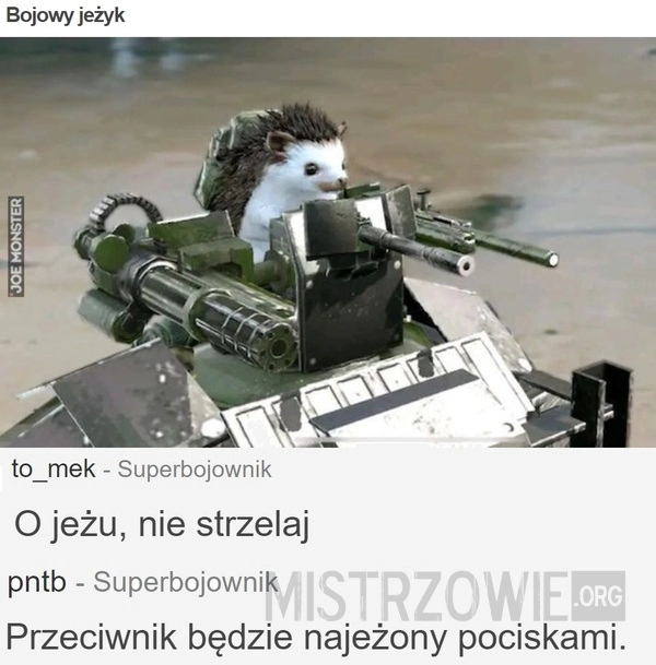 
    Bojowy jeżyk