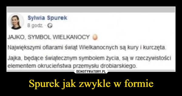 
    Spurek jak zwykle w formie