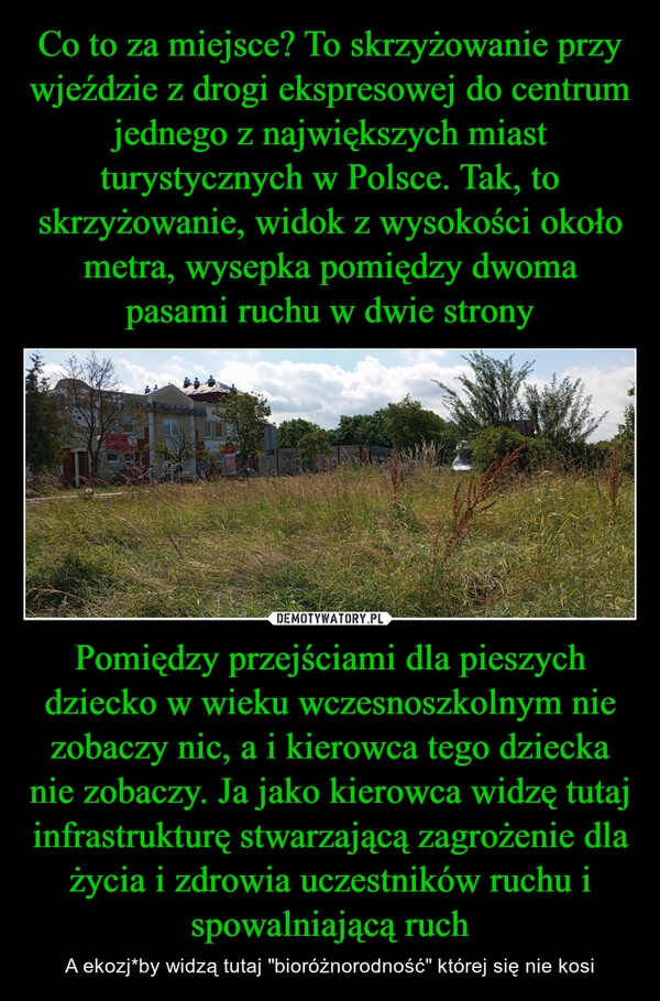 
    Co to za miejsce? To skrzyżowanie przy wjeździe z drogi ekspresowej do centrum jednego z największych miast turystycznych w Polsce. Tak, to skrzyżowanie, widok z wysokości około metra, wysepka pomiędzy dwoma pasami ruchu w dwie strony Pomiędzy przejściami dla pieszych dziecko w wieku wczesnoszkolnym nie zobaczy nic, a i kierowca tego dziecka nie zobaczy. Ja jako kierowca widzę tutaj infrastrukturę stwarzającą zagrożenie dla życia i zdrowia uczestników ruchu i spowalniającą ruch