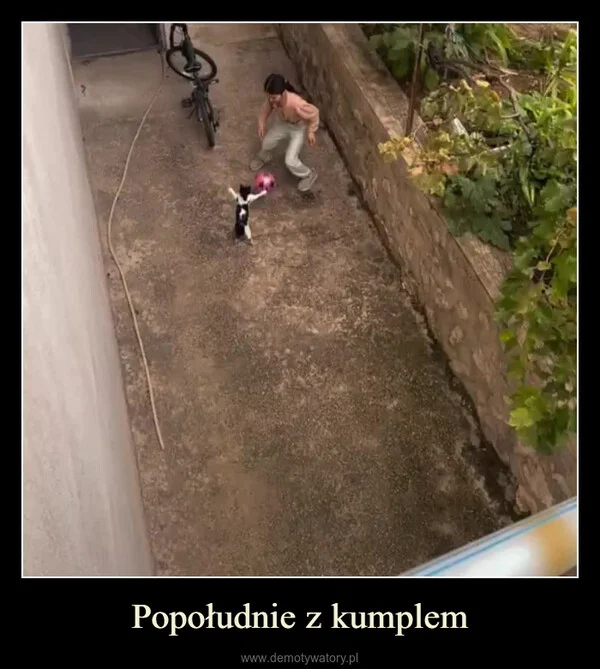 
    Popołudnie z kumplem