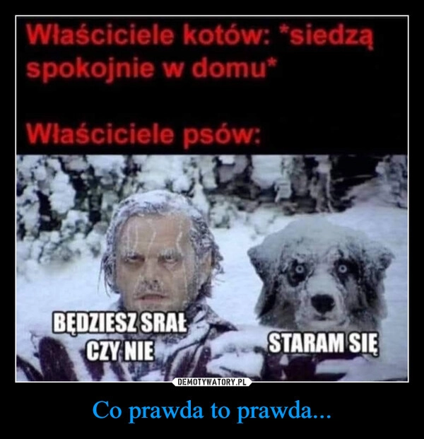 
    Co prawda to prawda...