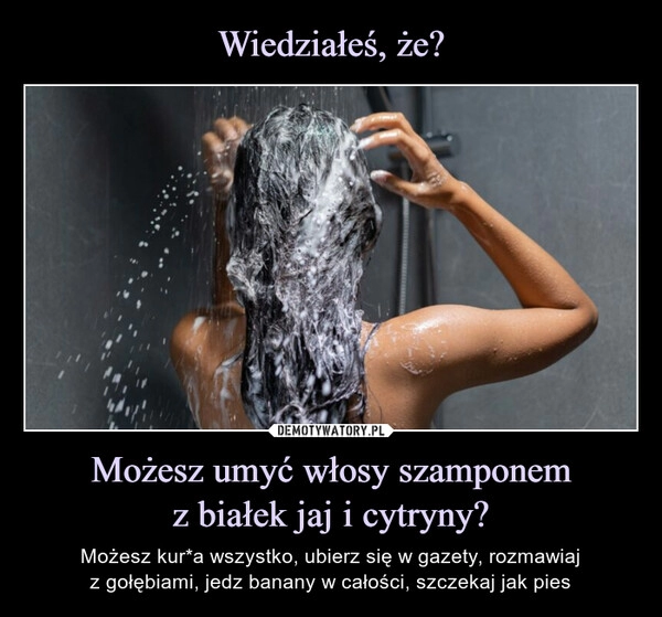 
    Wiedziałeś, że? Możesz umyć włosy szamponem
z białek jaj i cytryny?