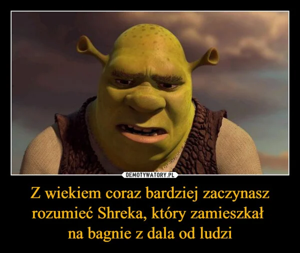 
    Z wiekiem coraz bardziej zaczynasz rozumieć Shreka, który zamieszkał na bagnie z dala od ludzi