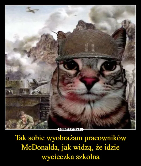 
    Tak sobie wyobrażam pracowników McDonalda, jak widzą, że idzie wycieczka szkolna