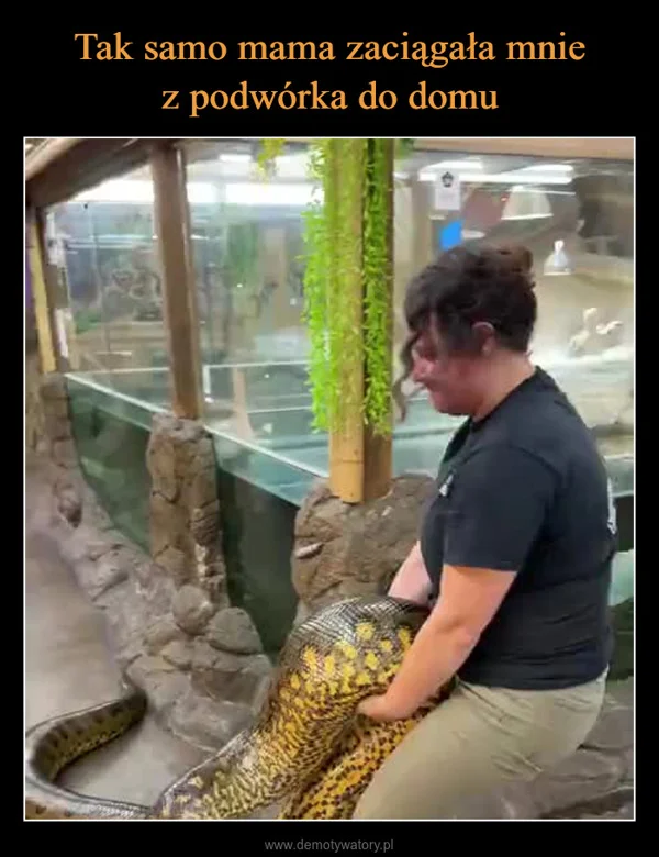 
    Tak samo mama zaciągała mnie z podwórka do domu