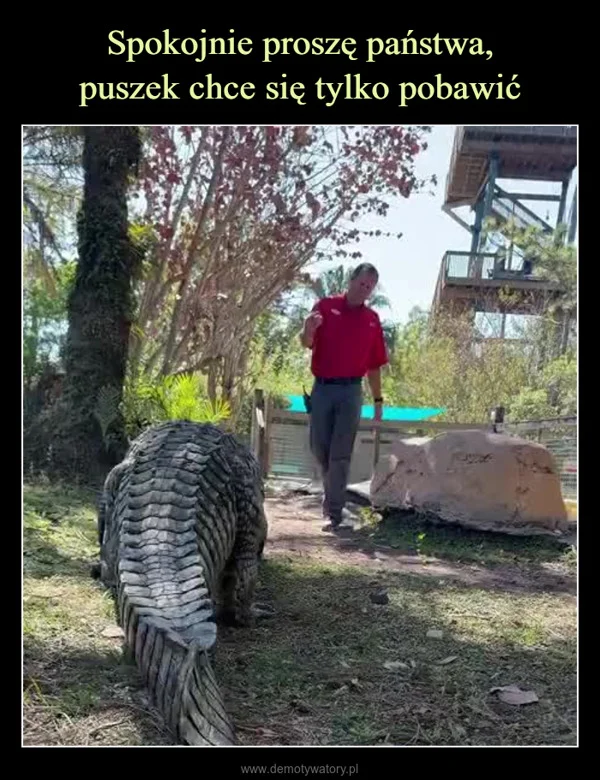 
    Spokojnie proszę państwa, puszek chce się tylko pobawić