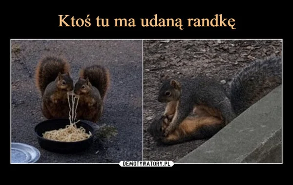 Ktoś tu ma udaną randkę