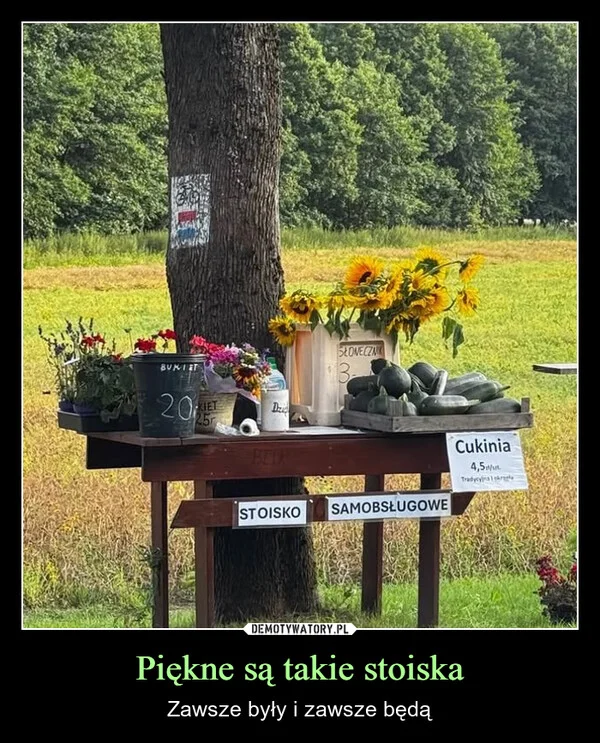 
    Piękne są takie stoiska
