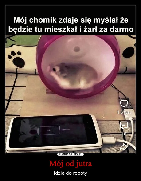Mój od jutra