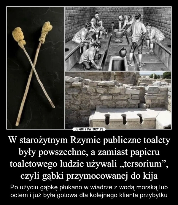 
    W starożytnym Rzymie publiczne toalety były powszechne, a zamiast papieru toaletowego ludzie używali „tersorium”, czyli gąbki przymocowanej do kija