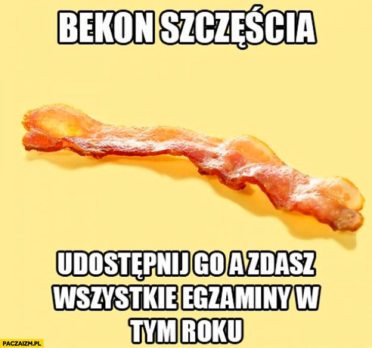 
    Bekon szczęścia udostepnij go a zdasz wszystkie egzaminy w tym roku