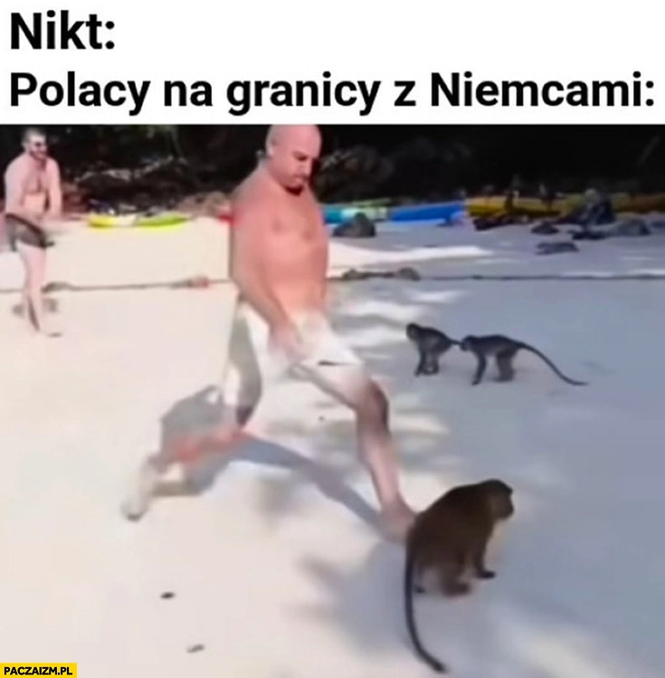 
    Nikt: Polacy na granicy z Niemcami facet kopie małpę