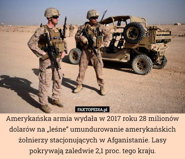 
    Amerykańska armia wydała w 2017 roku 28 milionów dolarów na „leśne” umundurowanie