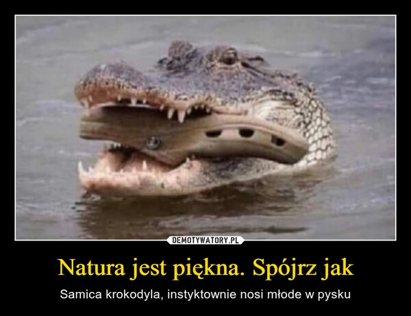 
    Natura jest piękna. Spójrz jak