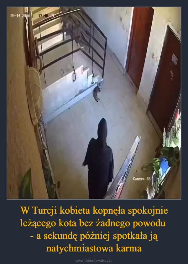 
    W Turcji kobieta kopnęła spokojnie leżącego kota bez żadnego powodu - a sekundę później spotkała ją natychmiastowa karma