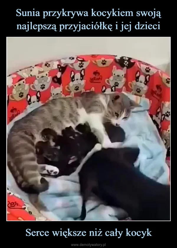 
    Sunia przykrywa kocykiem swoją najlepszą przyjaciółkę i jej dzieci Serce większe niż cały kocyk