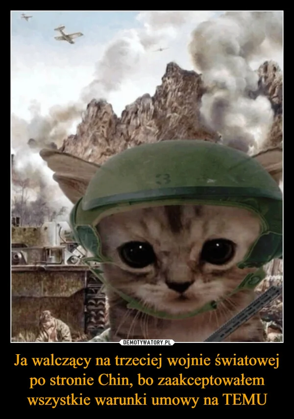 
    Ja walczący na trzeciej wojnie światowej po stronie Chin, bo zaakceptowałem wszystkie warunki umowy na TEMU