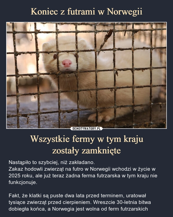 
    Koniec z futrami w Norwegii Wszystkie fermy w tym kraju
zostały zamknięte