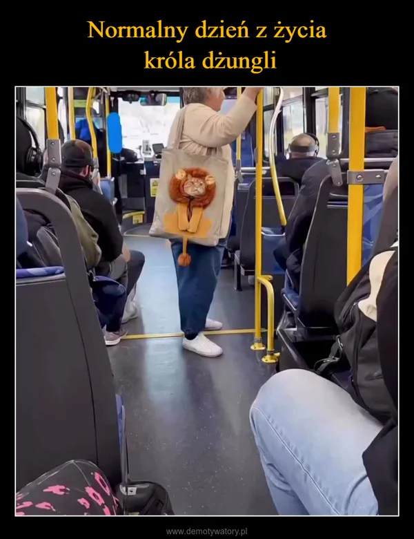 
    Normalny dzień z życia króla dżungli