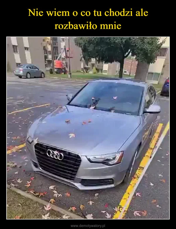Nie wiem o co tu chodzi ale rozbawiło mnie