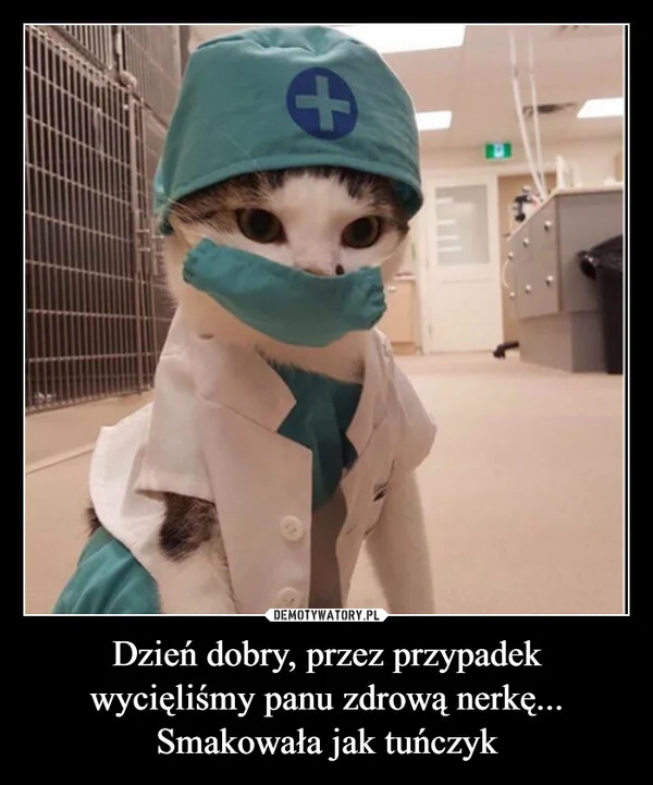 
    Dzień dobry, przez przypadek wycięliśmy panu zdrową nerkę... Smakowała jak tuńczyk
