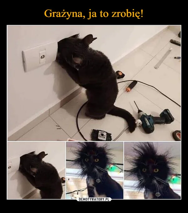 
    Grażyna, ja to zrobię!