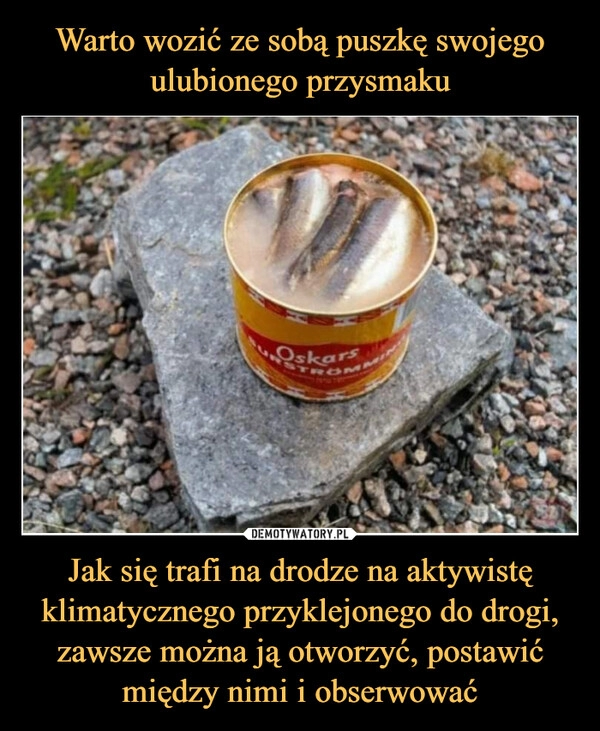 
    Warto wozić ze sobą puszkę swojego ulubionego przysmaku Jak się trafi na drodze na aktywistę klimatycznego przyklejonego do drogi, zawsze można ją otworzyć, postawić między nimi i obserwować