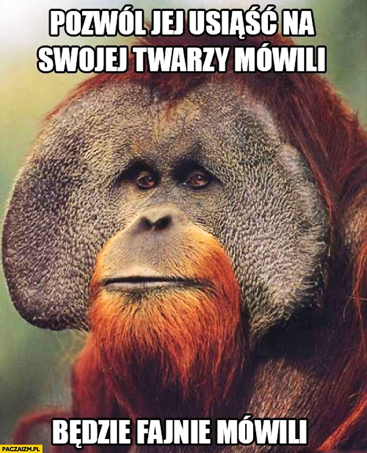 
    Pozwól jej usiąść na swojej twarzy będzie fajnie mówili