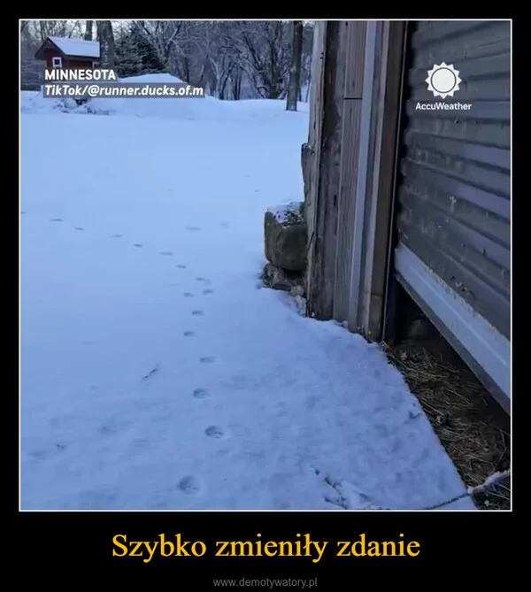 
    Szybko zmieniły zdanie