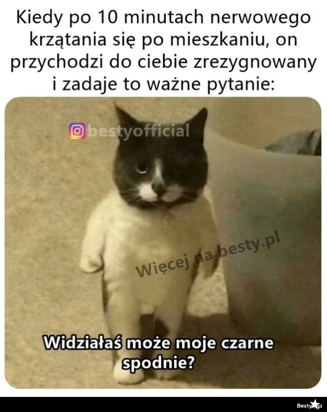 
    Pora się poddać 