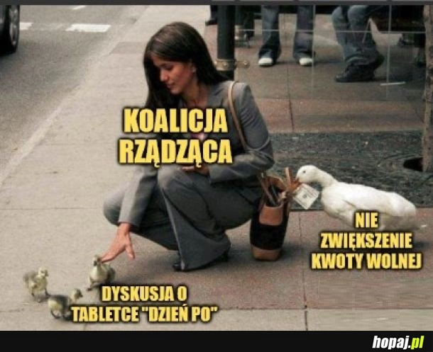 
    Temat miły, sympatyczny, gadanie dla gadania.