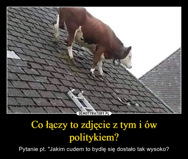 
    Co łączy to zdjęcie z tym i ów politykiem?